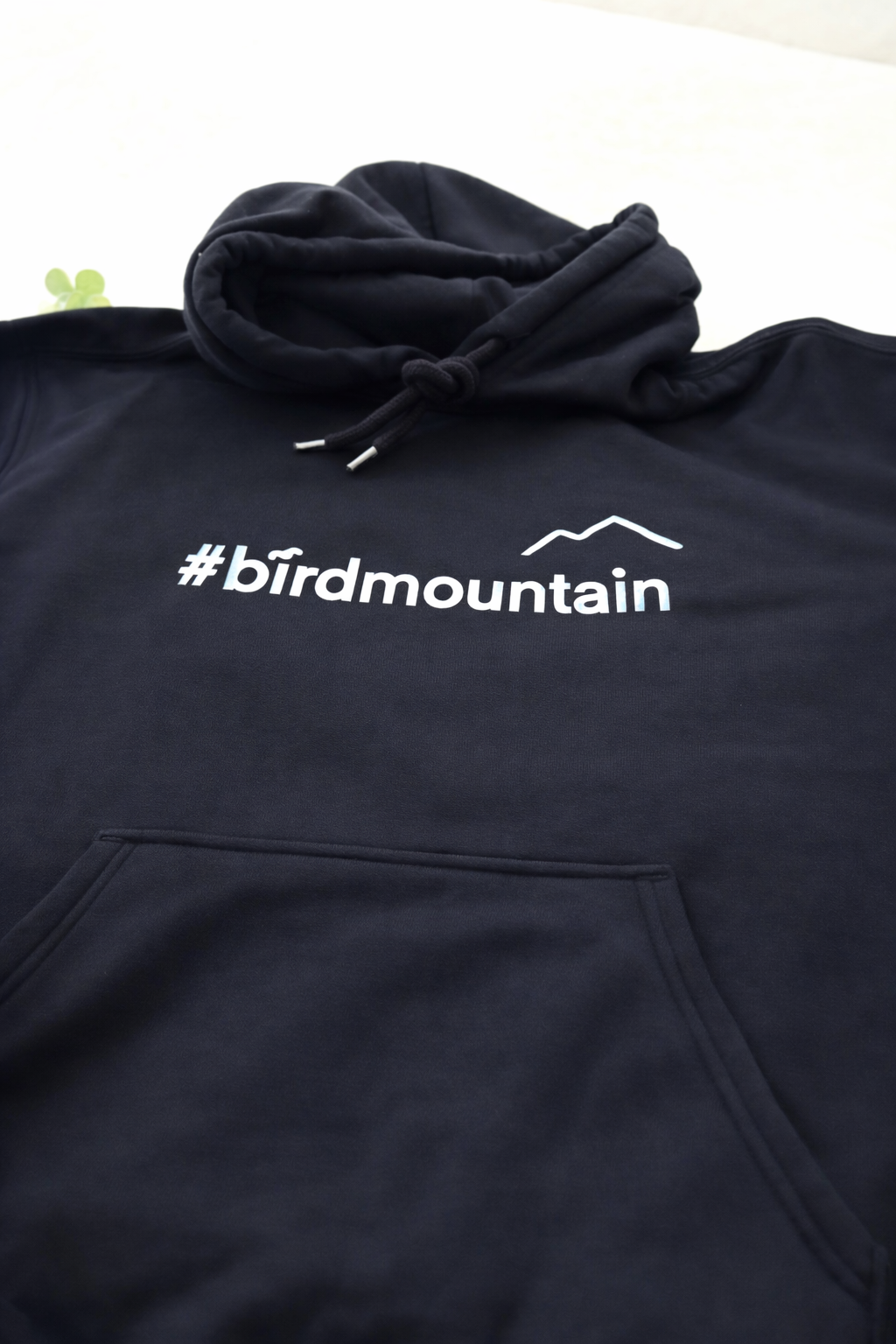 Hoodie | Bird Mountain