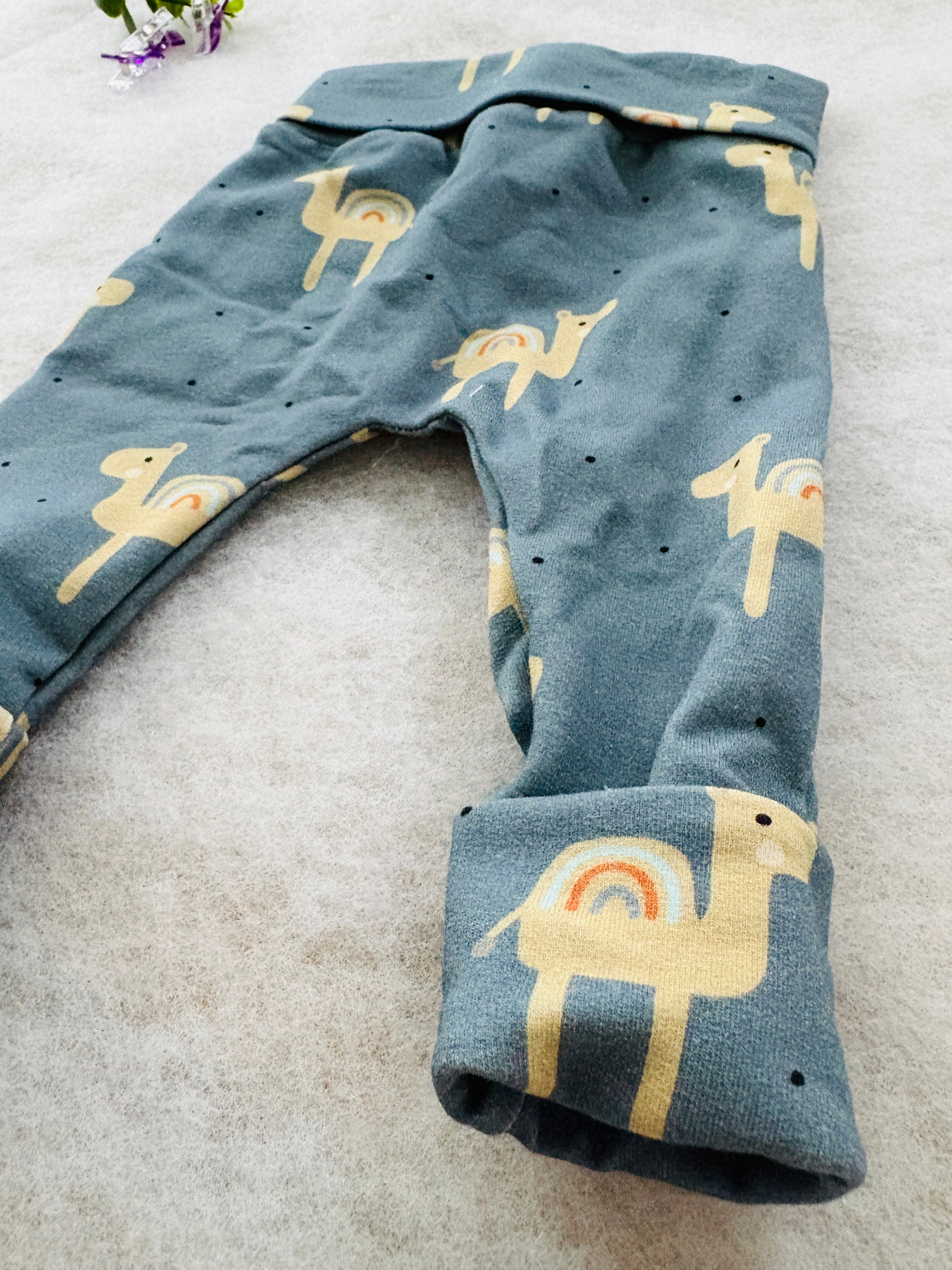 Pumphose | 3-12 Monate | Kamele