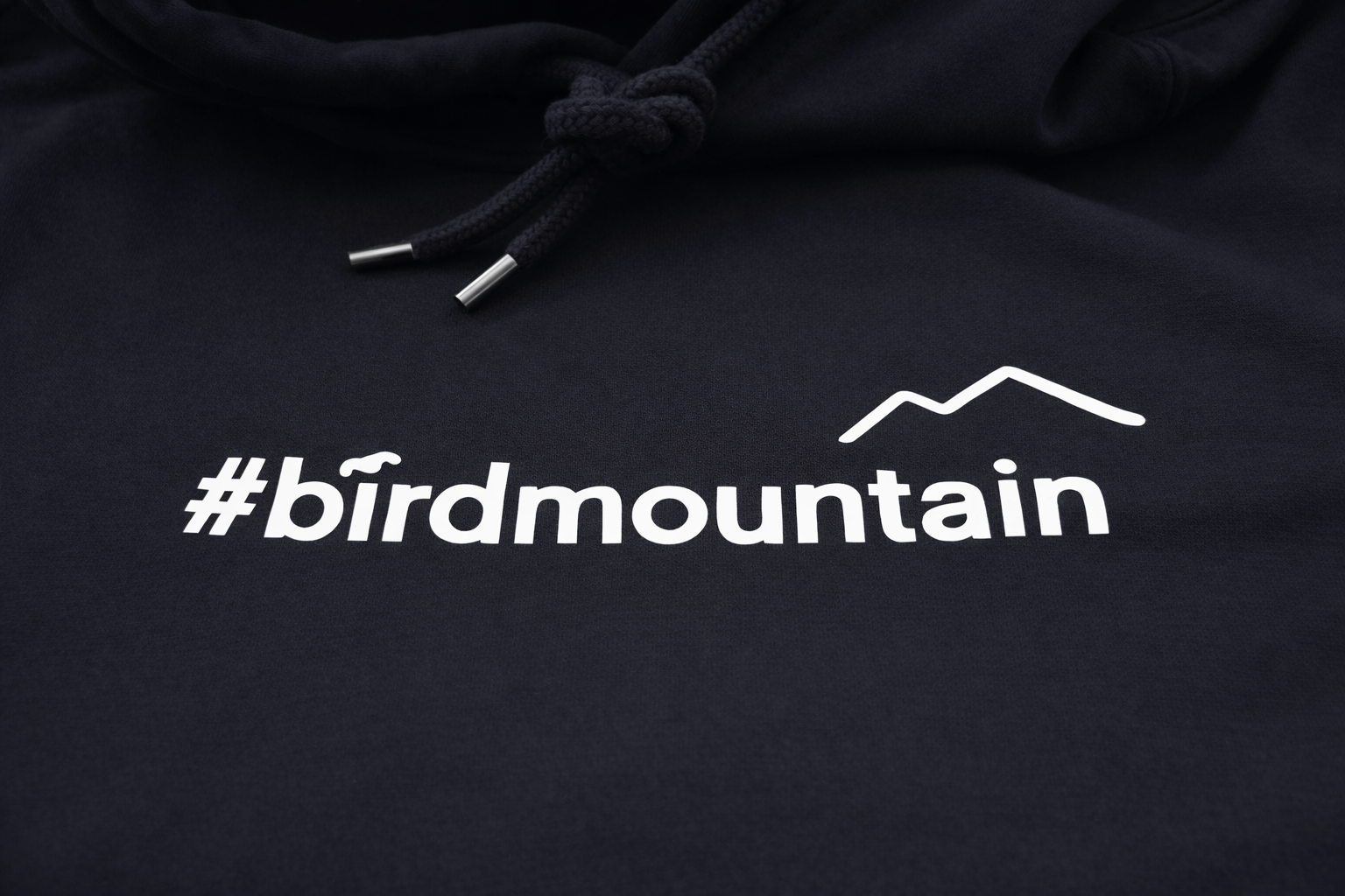 Hoodie | Bird Mountain